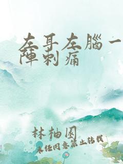 左耳左脑一阵一阵刺痛