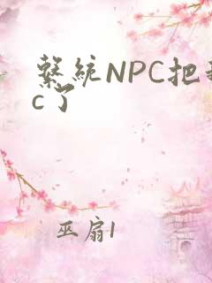 系统NPC把我c了