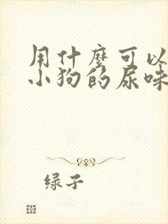 用什么可以去除小狗的尿味