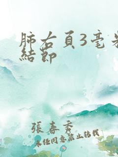 肺右页3毫米小结节