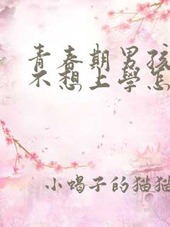 青春期男孩叛逆不想上学怎么管教