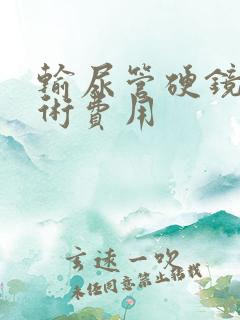 输尿管硬镜取石术费用