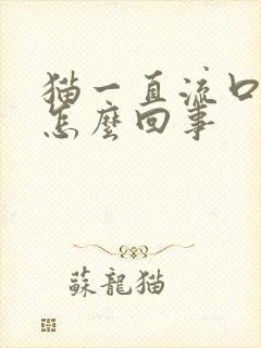 猫一直流口水是怎么回事