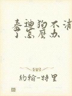 泰迪狗不消化吐了怎么办