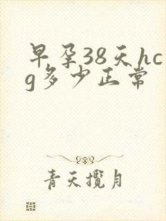 早孕38天hcg多少正常