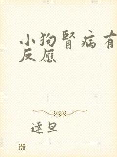 小狗肾病有什么反应