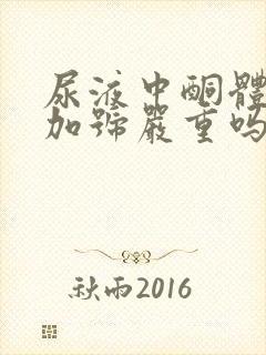 尿液中酮体2个加号严重吗