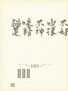 猫咪不吃不喝但是精神很好