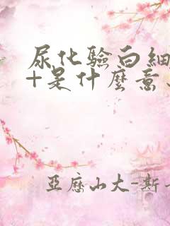 尿化验白细胞3+是什么意思