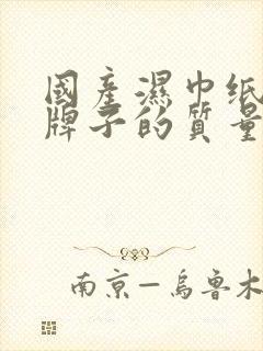 国产湿巾纸什么牌子的质量好