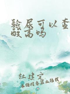 验尿可以查出尿酸高吗