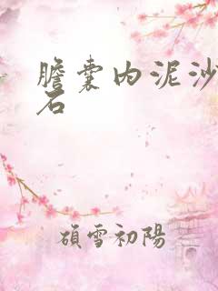 胆囊内泥沙状结石