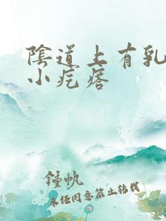 阴道上有乳头状小疙瘩