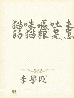 猫咪呕吐未消化的猫粮是怎么回事