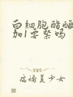 白细胞酯酶阳性加1要紧吗