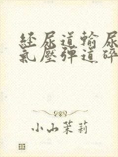 经尿道输尿管镜气压弹道碎石取石术