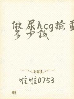 做尿hcg检查多少钱