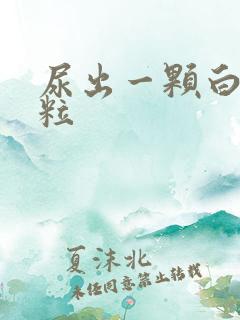 尿出一颗白色颗粒