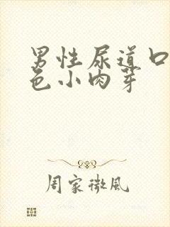 男性尿道口有白色小肉芽