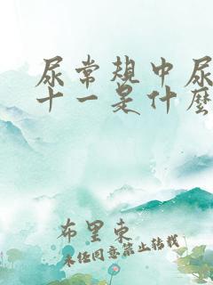 尿常规中尿蛋白十一是什么意思