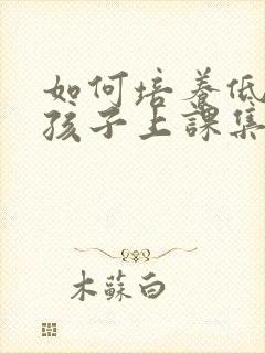 如何培养低年级孩子上课集中注意力