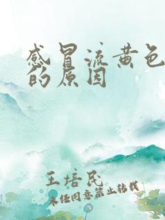 感冒流黄色鼻涕的原因