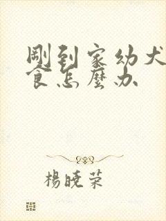 刚到家幼犬不吃食怎么办