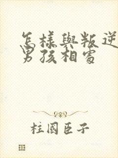 怎样与叛逆期的男孩相处