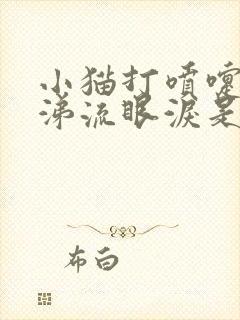 小猫打喷嚏流鼻涕流眼泪是怎么回事