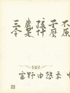 三岁孩子不听指令是什么原因