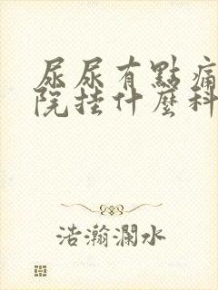 尿尿有点痛去医院挂什么科