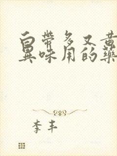 白带多又黄还有异味用的药