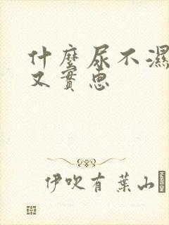 什么尿不湿好用又实惠