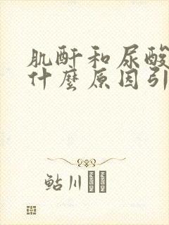 肌酐和尿酸高是什么原因引起