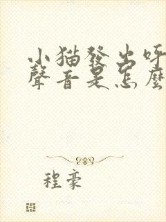 小猫发出呼呼的声音是怎么回事