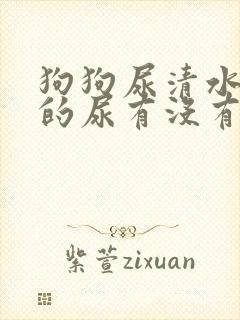 狗狗尿清水一样的尿有没有事