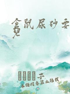 仓鼠尿砂要放哪儿