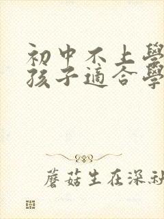 初中不上学了的孩子适合学什么技术