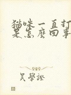 猫咪一直打喷嚏是怎么回事