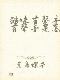 猫咪有声音一直有声音是怎么回事