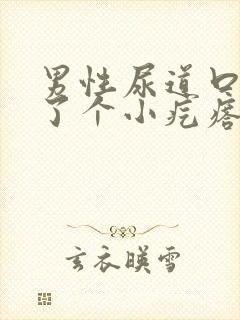 男性尿道口上长了个小疙瘩