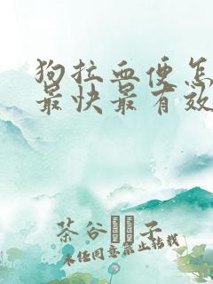 狗拉血便怎么办最快最有效