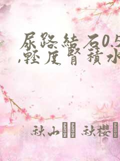 尿路结石0.5,轻度肾积水