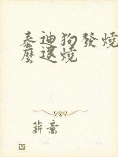 泰迪狗发烧了怎么退烧