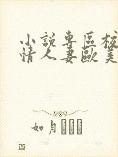 小说专区校园激情人妻欧美