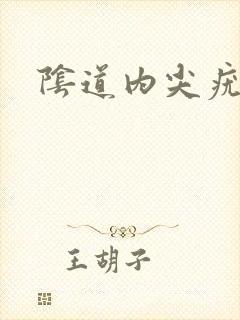 阴道内尖疣湿锐