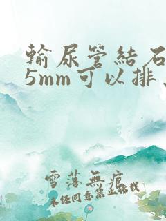 输尿管结石7*5mm可以排出来吗