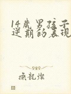 14岁男孩子叛逆期的表现