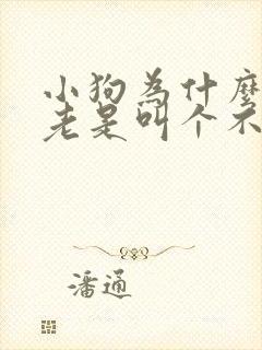 小狗为什么晚上老是叫个不停