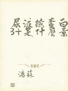 尿液检查白细胞3+是什么意思